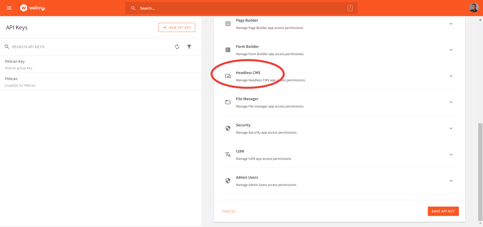Create Custom Access Under Headless CMS