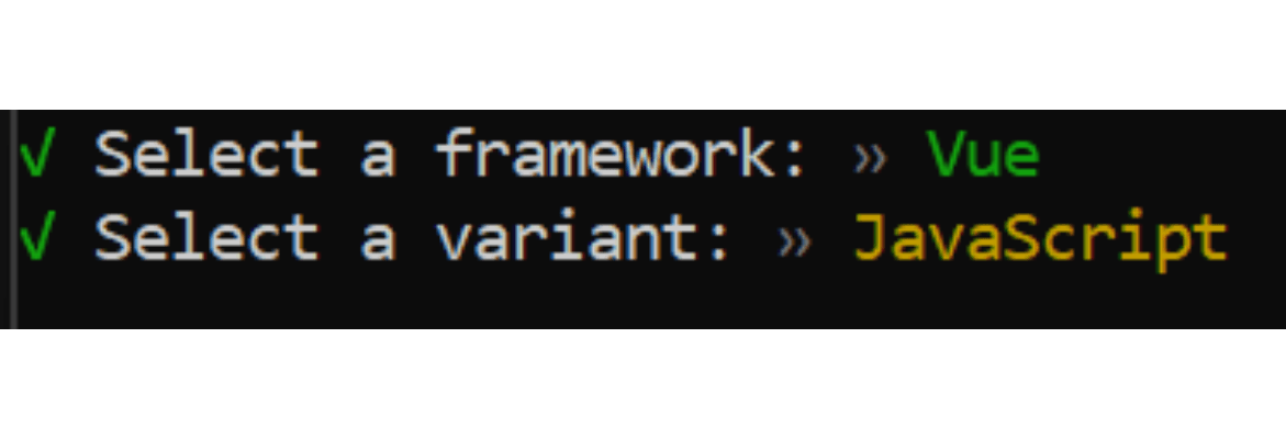 options selected after running the vite command